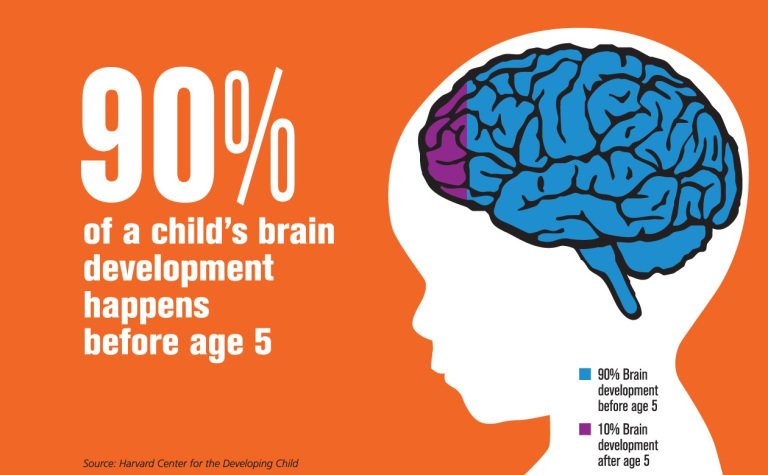 Human Brain Development: Growth After Birth Challenges Previous